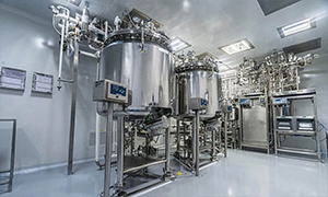 Large capacity sterile holding vessels with pressure gauges cGMP compliant