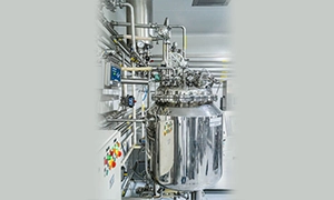 Mobile sterile holding vessel skid in pharmaceutical clean room