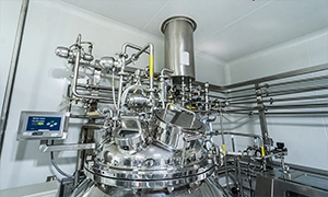 Sterile holding vessel skid system in pharmaceutical plant India